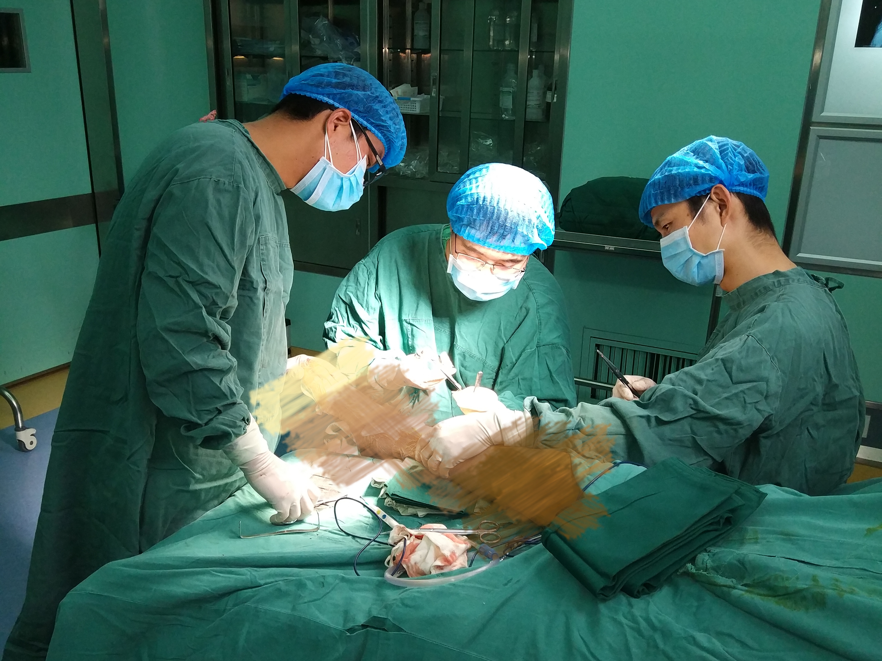 我身边的“绿影”